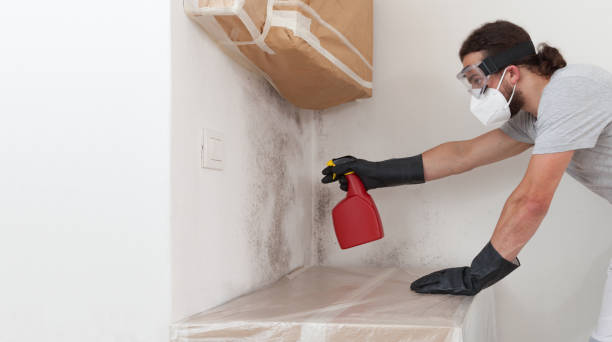 Professional Attic Mold Removal technician working in Mountainside, NJ
