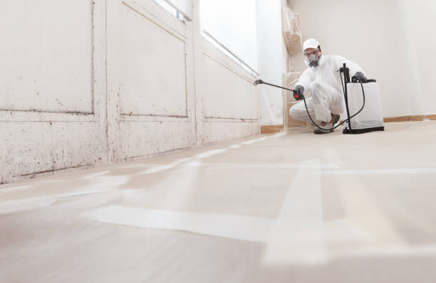 24/7 Emergency Attic Mold Removal experts in Mountainside, NJ