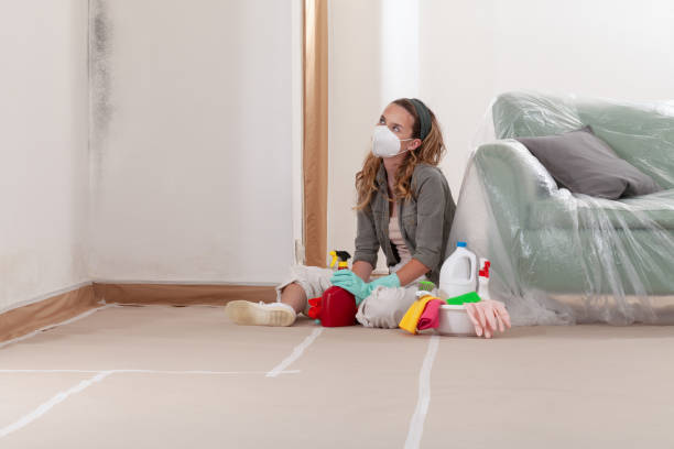Reliable Attic Mold Removal contractor in Mountainside, NJ by WQB Mold Removal